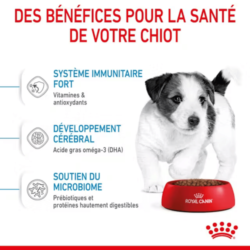 Visuel 3 du produit Croquettes Chien – Royal Canin Mini Junior - 2 kg