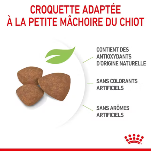 Visuel 5 du produit Croquettes Chien – Royal Canin Mini Junior - 2 kg
