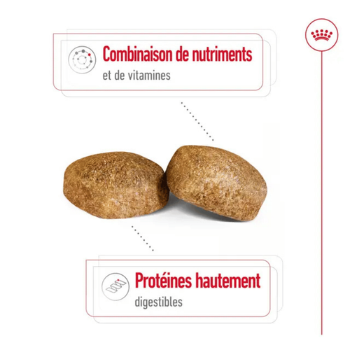 Visuel 5 du produit Croquettes Chien – Royal Canin Giant Adulte – 15 kg