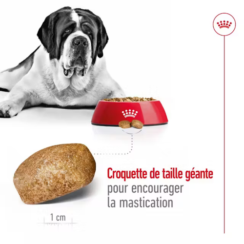 Visuel 6 du produit Croquettes Chien – Royal Canin Giant Adulte – 15 kg