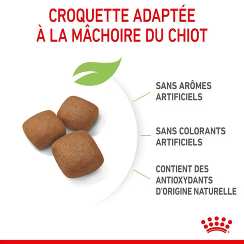 Visuel 5 du produit Croquettes Chien – Royal Canin Giant Junior – 15 kg