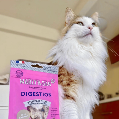 Visuel 4 du produit Friandise Chat – Marly & Dan Tendres bouchées « Digestion » - 50 gr