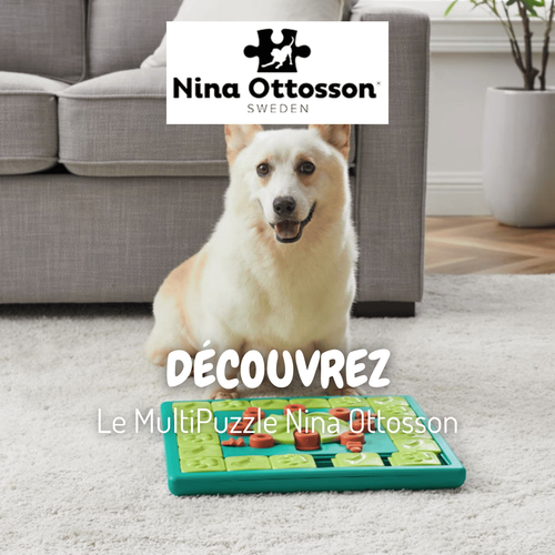 Capture vidéo du produit Nina Ottosson Jouet d'intelligence Chien Multipuzzle niveau 4 - 37,7 x 37,7 x 4,7 cm