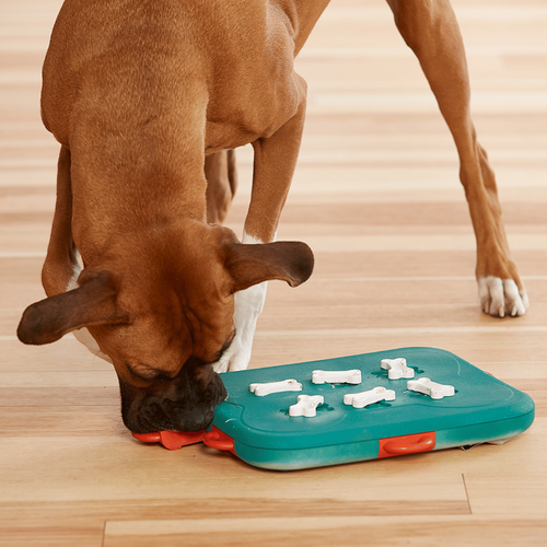 Visuel 3 du produit Nina Ottosson Jouet d'intelligence Chien Casino niveau 3 - 31,5 x 26 cm x 4,5 cm
