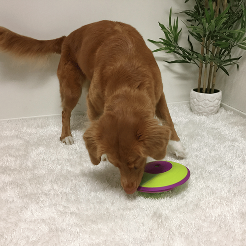 Visuel 5 du produit Nina Ottosson Jeu d'intelligence Treat Maze Niveau 2 Vert et violet - Ø 18 cm