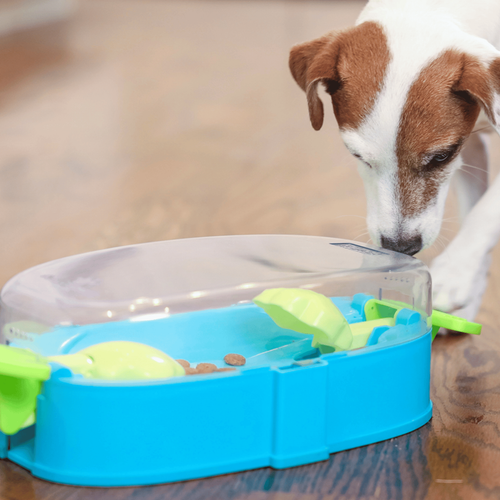 Visuel 2 du produit Nina Ottonsson Jouet Chien Paw N'Play - Niveau 2