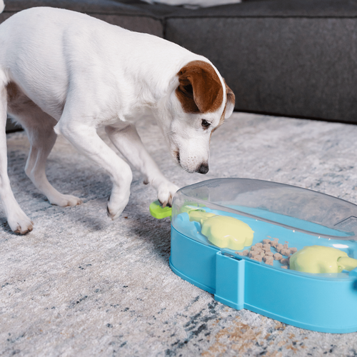 Visuel 3 du produit Nina Ottonsson Jouet Chien Paw N'Play - Niveau 2