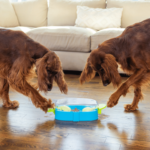 Visuel 4 du produit Nina Ottonsson Jouet Chien Paw N'Play - Niveau 2