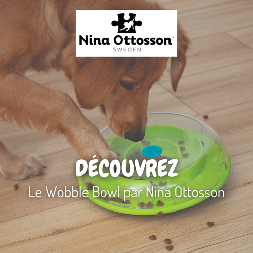 Capture vidéo du produit Nina Ottosson Jouet d'intelligence Chien Wobble Bowl multicolore - Niveau 1