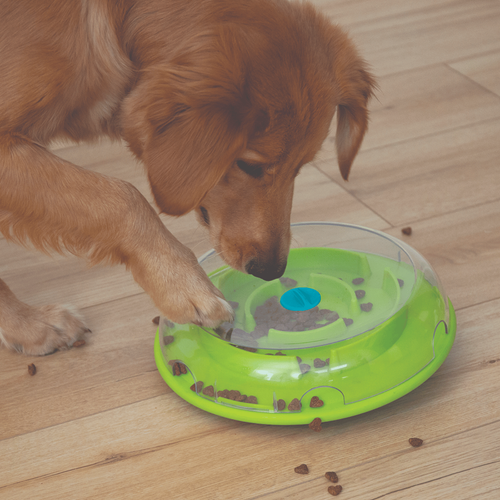 Visuel 3 du produit Nina Ottosson Jouet d'intelligence Chien Wobble Bowl multicolore - Niveau 1