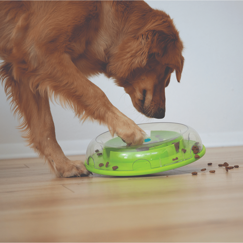 Visuel 4 du produit Nina Ottosson Jouet d'intelligence Chien Wobble Bowl multicolore - Niveau 1