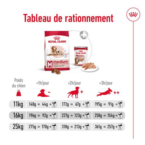 Visuel 7 du produit Royal Canin Croquettes Chien Medium Ageing 10+ - 3 kg