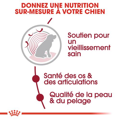 Visuel 4 du produit Croquettes Chien - Royal Canin Medium Ageing 10+ - 15 kg