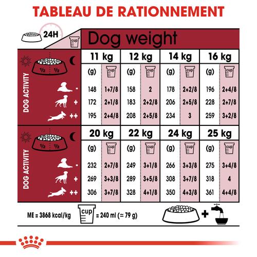 Visuel 6 du produit Croquettes Chien - Royal Canin Medium Ageing 10+ - 15 kg