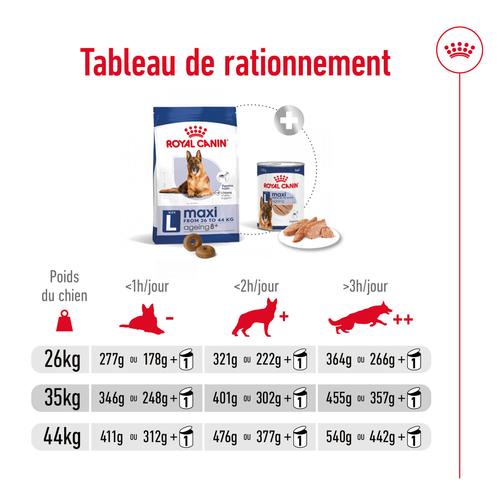 Visuel 9 du produit Croquettes Chien - Royal Canin Maxi Ageing 8+ - 15 kg
