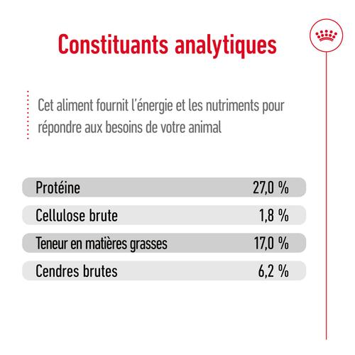 Visuel 13 du produit Croquettes Chien - Royal Canin Maxi Ageing 8+ - 15 kg
