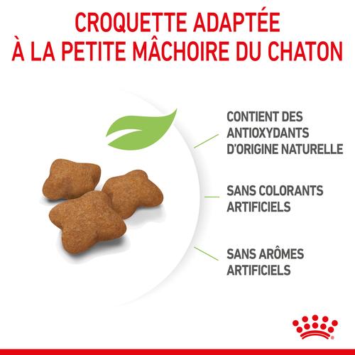 Visuel 5 du produit Royal Canin Croquettes Kitten Sterilised - 400 g