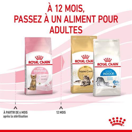 Visuel 7 du produit Croquettes Chat - Royal Canin Kitten Sterilised - 2 kg