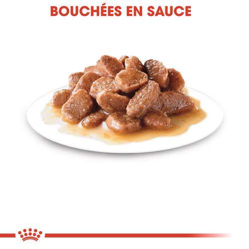 Visuel 5 du produit Boîtes Chat - Royal Canin Sachet Sterilised Sauce – 12 x 85 g
