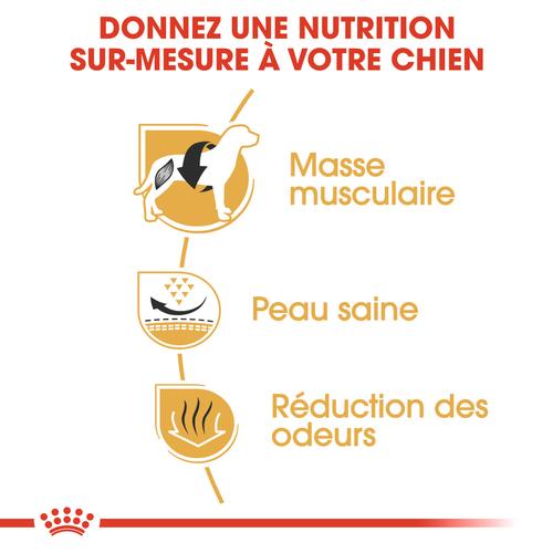 Visuel 6 du produit Croquettes Chien - Royal Canin Bouledogue Français Adulte - 3 kg