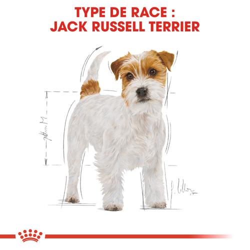 Visuel 4 du produit Royal Canin Jack Russell Adulte - 3 kg