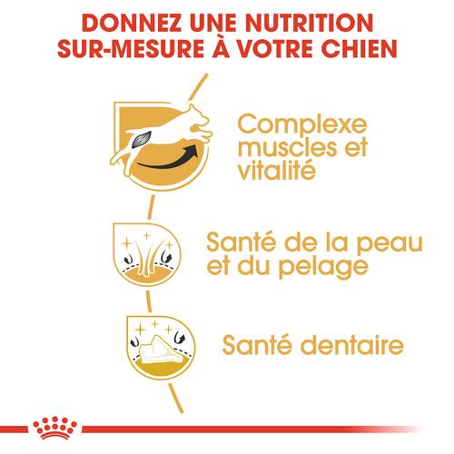 Visuel 5 du produit Royal Canin Jack Russell Adulte - 3 kg