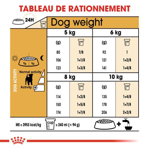 Visuel 6 du produit Royal Canin Jack Russell Adulte - 3 kg