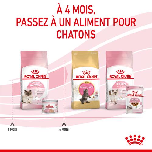 Visuel 4 du produit Boîtes Chat - Royal Canin Babycat Instinctive - 195 g