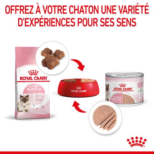 Visuel 5 du produit Boîtes Chat - Royal Canin Babycat Instinctive - 195 g