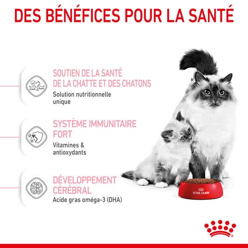 Visuel 4 du produit Royal Canin Mother & Babycat - 400 g