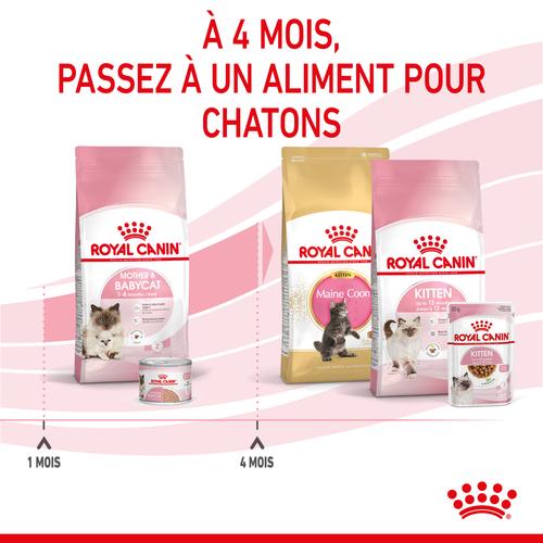 Visuel 6 du produit Royal Canin Mother & Babycat - 400 g