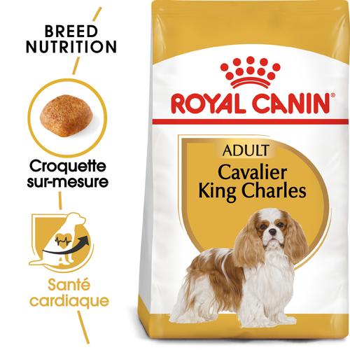Visuel 2 du produit Croquettes Chien – Royal Canin Cavalier King Charles Adulte – 3 kg