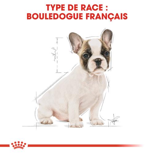 Visuel 3 du produit Royal Canin Croquettes Bouledogue Français Junior - 10 kg