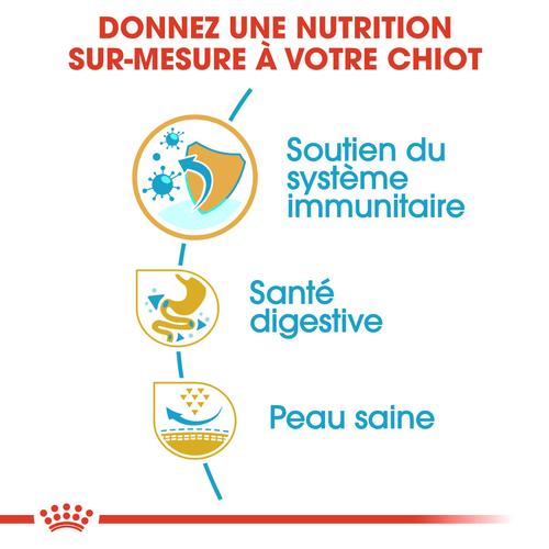 Visuel 5 du produit Royal Canin Croquettes Bouledogue Français Junior - 10 kg