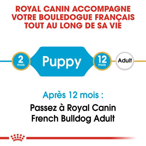Visuel 6 du produit Royal Canin Croquettes Bouledogue Français Junior - 10 kg