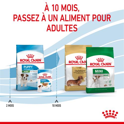 Visuel 7 du produit Croquettes Chien – Royal Canin Mini Junior - 2 kg
