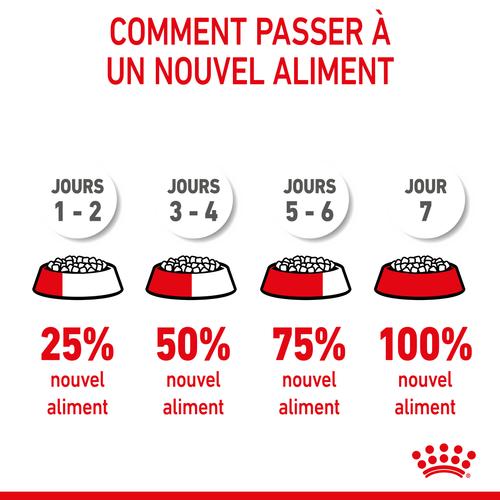 Visuel 8 du produit Croquettes Chien – Royal Canin Mini Junior - 2 kg