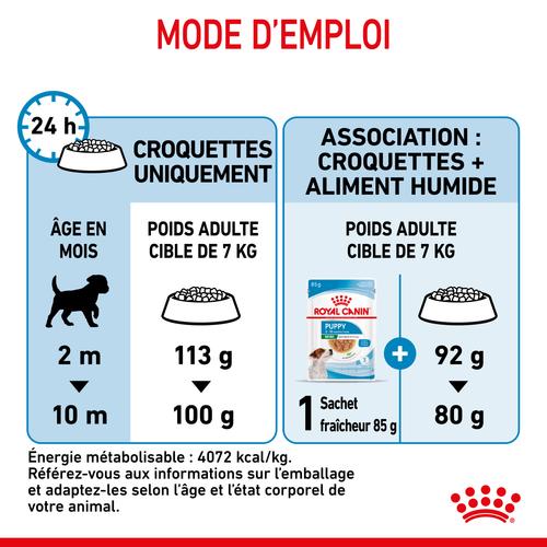 Visuel 9 du produit Croquettes Chien – Royal Canin Mini Junior - 2 kg