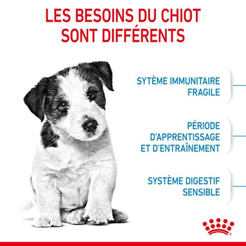 Visuel 5 du produit Croquettes Chien - Royal Canin Mini Junior - 4 kg