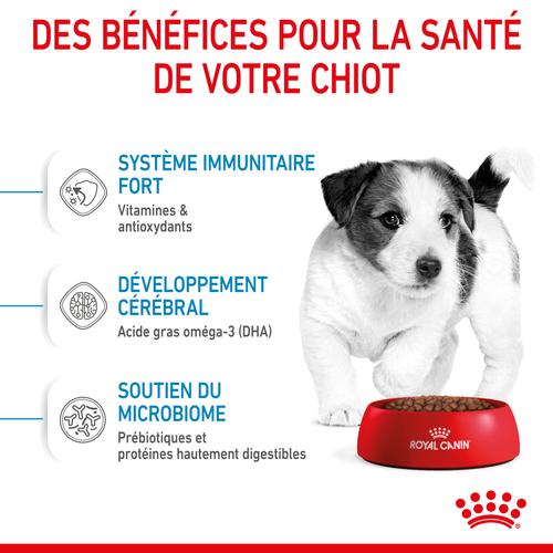 Visuel 6 du produit Croquettes Chien - Royal Canin Mini Junior - 4 kg