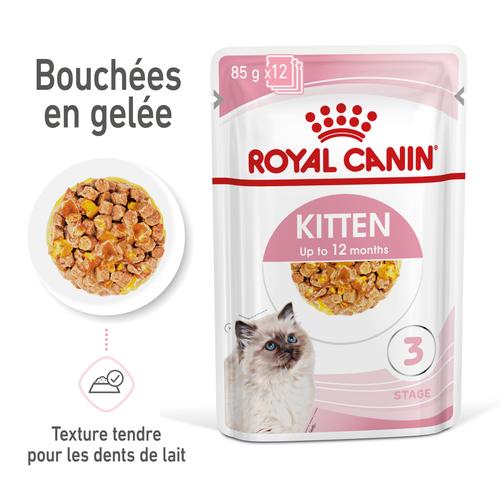 Visuel 3 du produit Boîtes Chat – Royal Canin Sachet Gelée Kitten Instinctive – 12 x 85 g