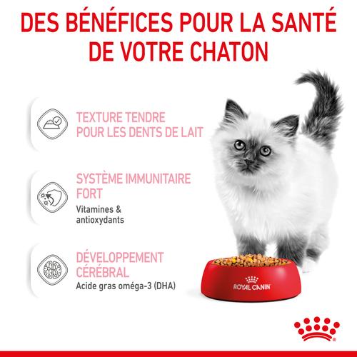Visuel 4 du produit Boîtes Chat – Royal Canin Sachet Gelée Kitten Instinctive – 12 x 85 g