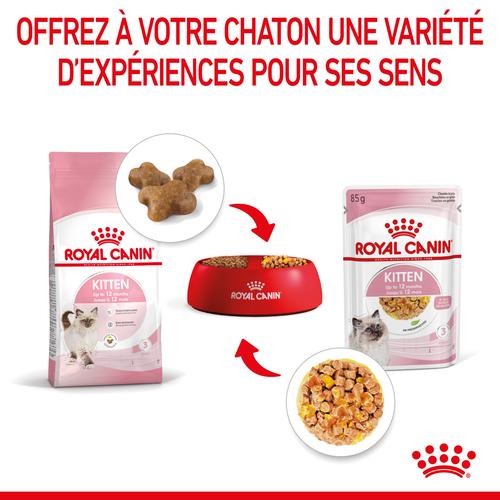 Visuel 7 du produit Boîtes Chat – Royal Canin Sachet Gelée Kitten Instinctive – 12 x 85 g