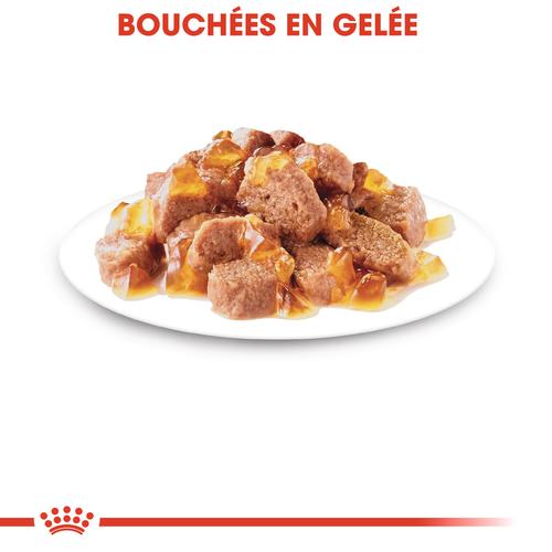 Visuel 5 du produit Boîtes Chat - Royal Canin Sterilised Gelée – 12 x 85 g