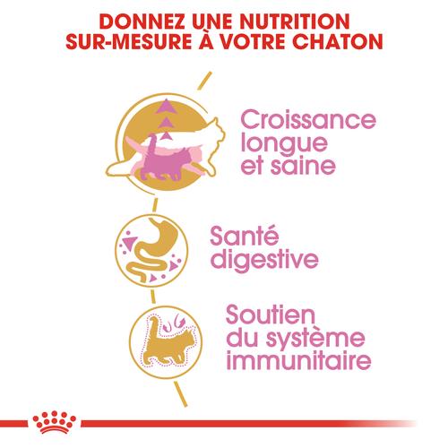 Visuel 4 du produit Royal Canin Croquettes Chaton Maine Coon - 2 kg