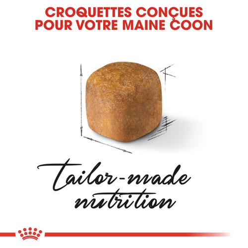 Visuel 5 du produit Royal Canin Croquettes Chaton Maine Coon - 2 kg