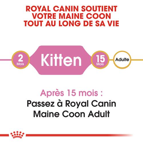 Visuel 6 du produit Royal Canin Croquettes Chaton Maine Coon - 2 kg