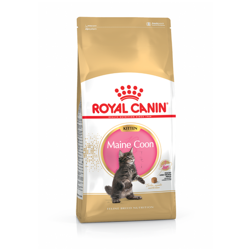 Visuel 1 du produit Royal Canin Croquettes Chaton Maine Coon - 2 kg
