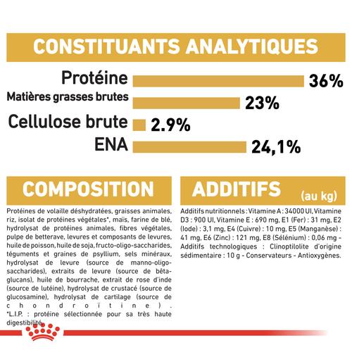 Visuel 7 du produit Royal Canin Croquettes Chaton Maine Coon - 2 kg