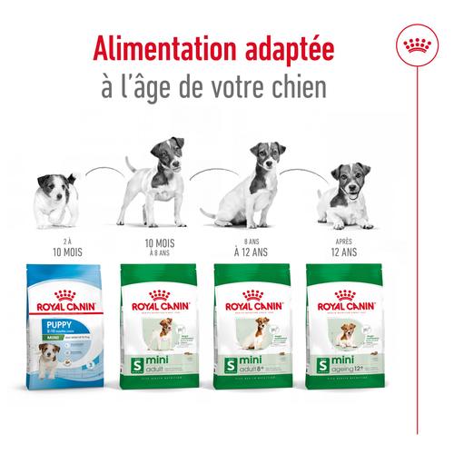 Visuel 5 du produit Croquettes Chien – Royal Canin Mini Adulte 8+ - 4 kg